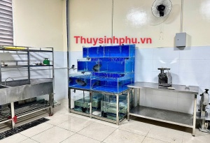 Hồ chứa hải sản