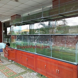 Hồ thủy sinh hải sản công trình ở Bạc Liêu thiết kế bởi thuỷ sinh Phú Gia