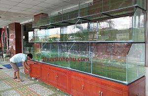 Hồ cá hải sản tại nhà hàng bạc liêu